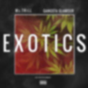 Exotics (feat. Gangsta Glamour)