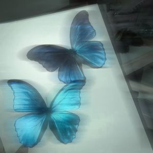 星期天想和你在秋千上聊天╯︿╰