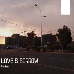 爱的忧伤（中提琴版）