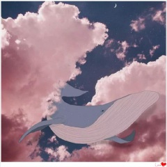 我想和你去一个地方