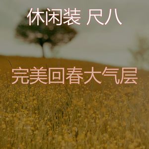 一尘不染松弛印象数