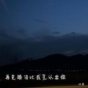 再见眼泪比我先认出你