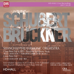 B小调第八交响曲“未完成”，D. 759 - 第一乐章：中庸的快板