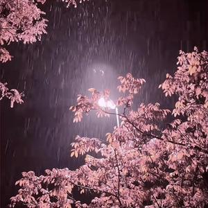 metaphysical necessities (interlude)