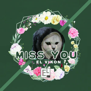 miss you(Original Mix)