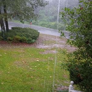 Ding Dong The Witch is Dead