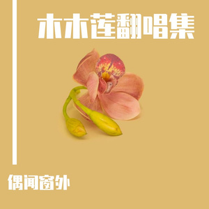 白木莲（翻唱 初音）