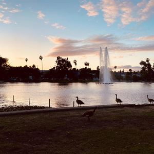 Sunset