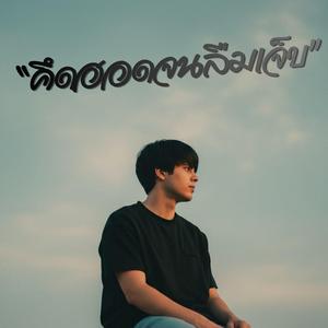 คึดฮอดจนลืมเจ็บ - Audio music