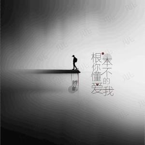 根本你不懂得爱我