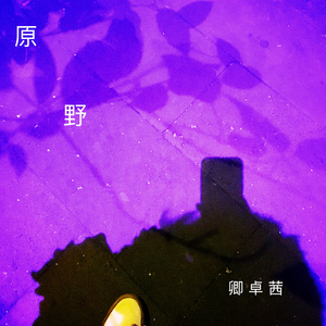 早安星球西多士