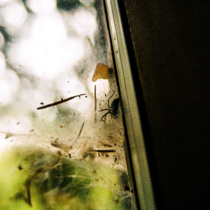 Good Grief (How's Your Little Rap Thing Going?)