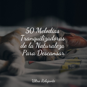 Maravillas Submarinas