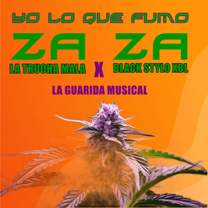 Yo Lo Que Fumo Zaza