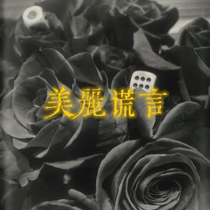 美丽谎言（广播剧《锦上添金》主题曲翻唱）