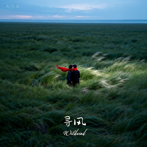 《寻风》