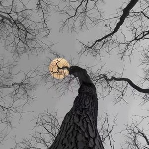 战力指数
