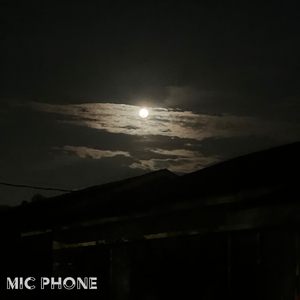 Mic Phone
