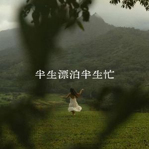 半生漂泊半生忙