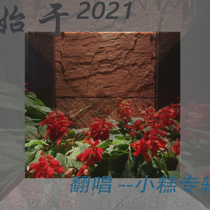 古城一侧（Cover：毛儿&纸无笔砚）（翻自 毛儿）