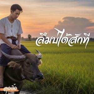 ลืมบ่ได้สักที