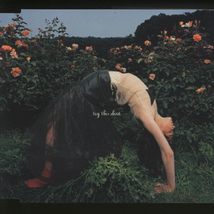 try this shoot (Original Mix)