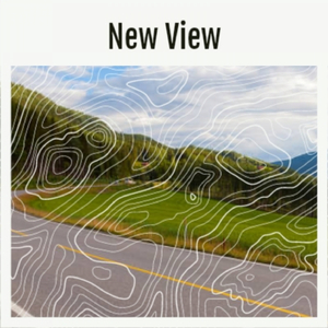 New View