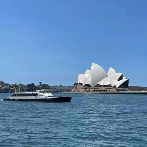 出现又离开（抖音热搜）