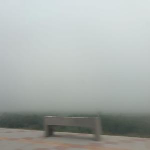 El Sobrepensante