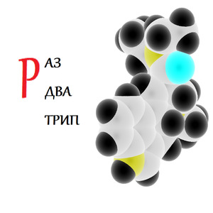 Раз два трип