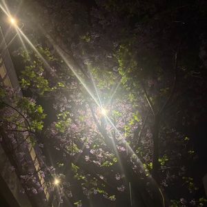 身处雾【Prod by Yu1cky】