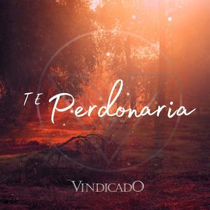 Te Perdonaria
