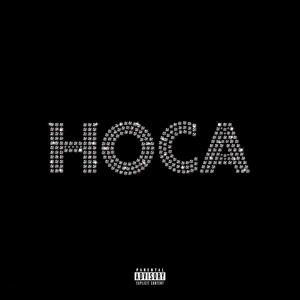 Носа