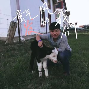 字里行间2.0