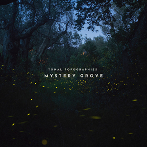 Mystery Grove