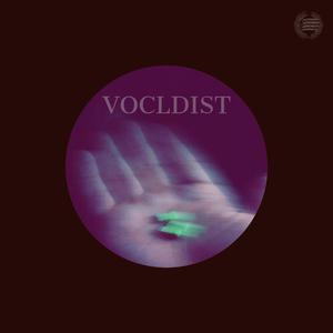 Vocldist