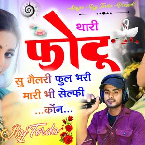 थारी फोटू सु गैलेरी फुल भरी मारी भी सेल्फी कोंन...(Pawan Gomladu)