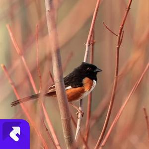 美好欢庆时光(1) (现场)