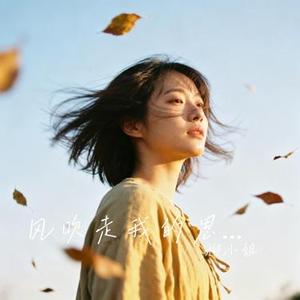 风吹走我的思念 (Cover 陆山川)
