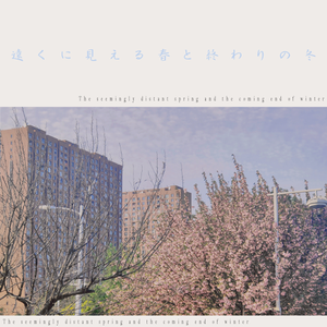 釣り人、橋の下のサッカー場です