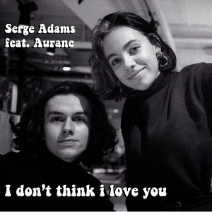 I Don't Think I Love You
