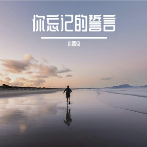 你忘记的誓言