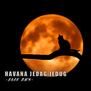 HAVANA JEDAG JEDUG