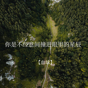 你是不经意间撞进眼里的星辰