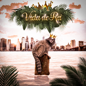 Vida de Rei