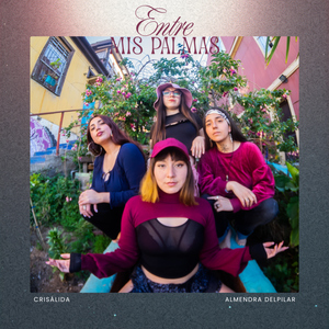 Entre Mis Palmas