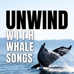 Whale