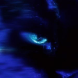 伪.(Prod. By Leonard Grape)