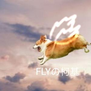 土豆(写给黄淮) 改编