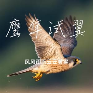 鹰隼试翼